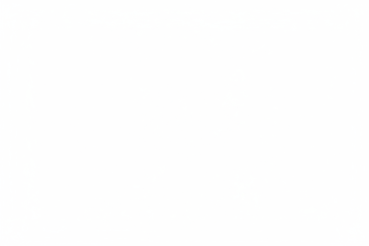 white blank image